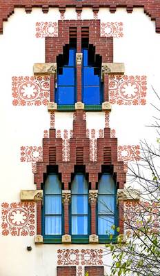 House finish in Art Nouveau style