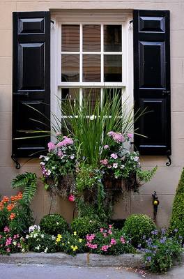 House facade with plants