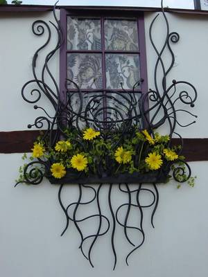 Facade decoration with plants