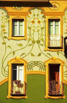 House finish in Art Nouveau style