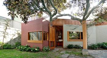 Dualistic Facade: House Embraced by a Tree