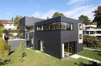 Elegant Dark Facade: Minimalist House with Contrasting Elements