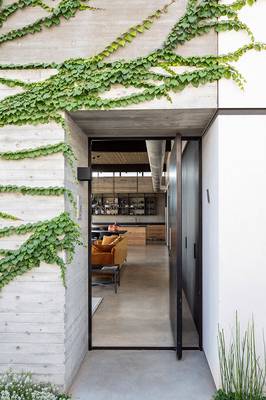 Cladding with plants on house facade