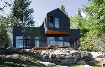 Modern forest house with a contrasting facade of dark vertical cladding and warm wood