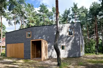 Minimalist brick facade with wooden accents in a pine forest