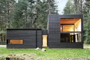 Dark Timber Facade: Modern Minimalism in Forest Setting