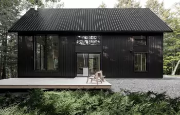 Black Minimalist Facade: Vertical Metal Siding in a Forest Context