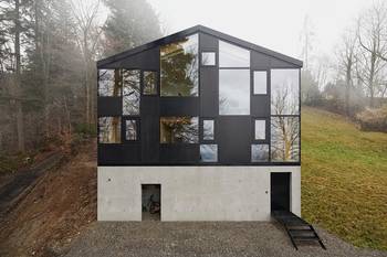 Option of concrete house cladding