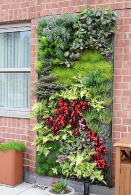 Cladding with plants on facde