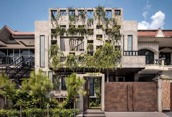 Option of plants on country house