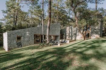 Modern stone facade in the forest: harmony of nature and architecture