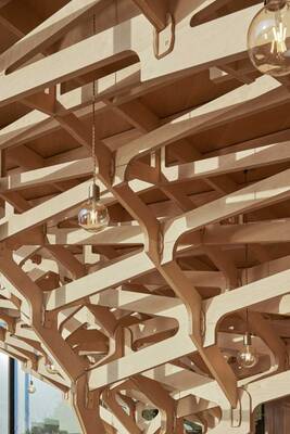 Biomorphic Wooden Ceiling with Organic Structure