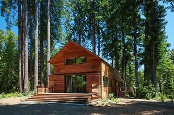 Modern wooden house with a harmonious facade surrounded by pine forest