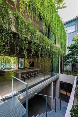 Green Curtain: Organic Facade with Vertical Landscaping