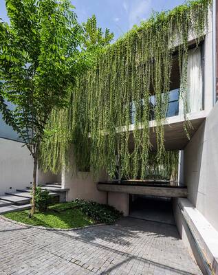 Cladding with plants on facde