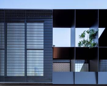 Cladding with fences on house