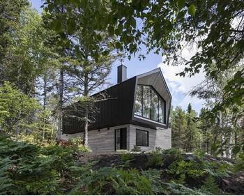 Forest Retreat with Contrasting Facade: Interplay of Geometry and Materials