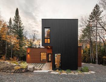 Modern Contrasting Forest Facade: Combination of Black Vertical and Brown Horizontal Cladding