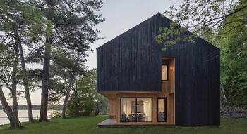 Contrasting Facade: Black Vertical Cladding and Warm Wood in a Contemporary Forest House