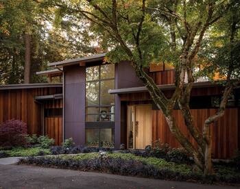 Modern wooden facade with contrasting accents in a forest setting