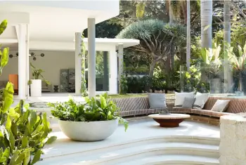 Modern transparent facade with tropical landscape integration