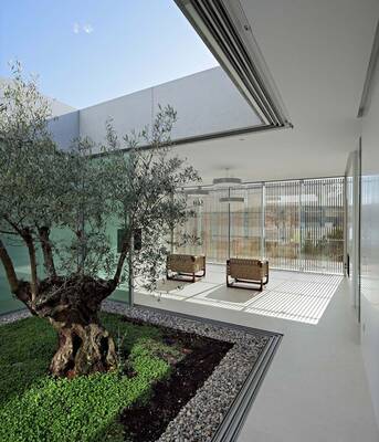 Minimalist Facade with Inner Courtyard and Olive Tree