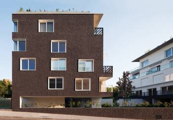 Facade in barnhouse style