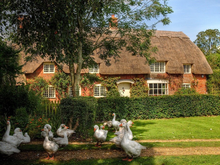 Thatched roof