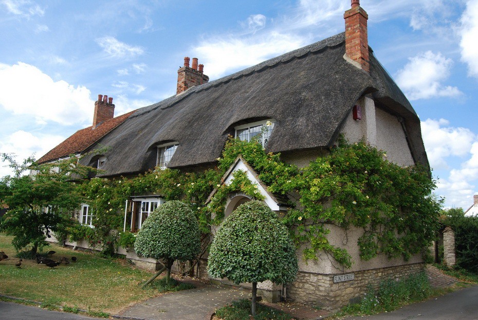 Thatched roof