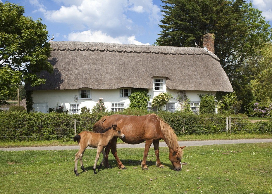 Thatched roof