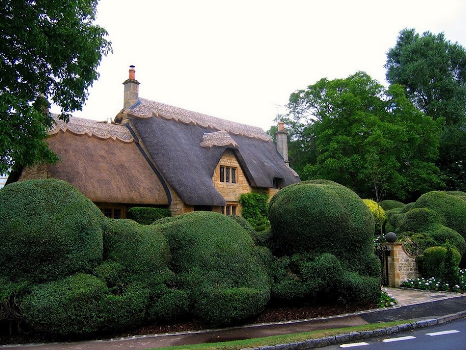 Thatched roof