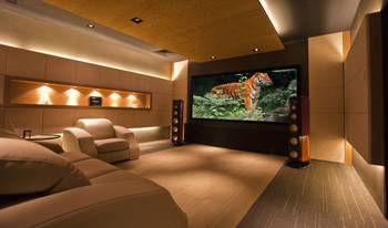 Theater interior in cottage in contemporary style.
