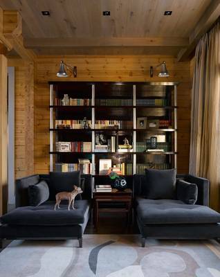 Beautiful design of library in house in contemporary style.