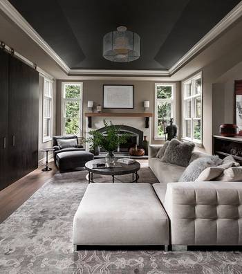 Modern Elegance: Living Room with Contrasting Ceiling and Neutral Palette