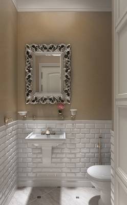 Bathroom design in cottage in empire style.