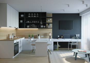 Minimalist studio with integrated kitchen-living room and workspace in a contrasting color palette