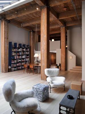 Option of library in house in loft style.